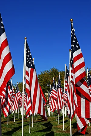 murrieta-flags-memorial-day-local-seo-serivces-riverside-county-web-deisgn-temecula