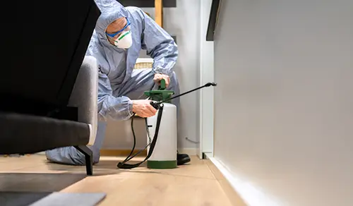 pest control service technician spraying for bugs in hoime in murrieta website design review for Shared Graphics web design